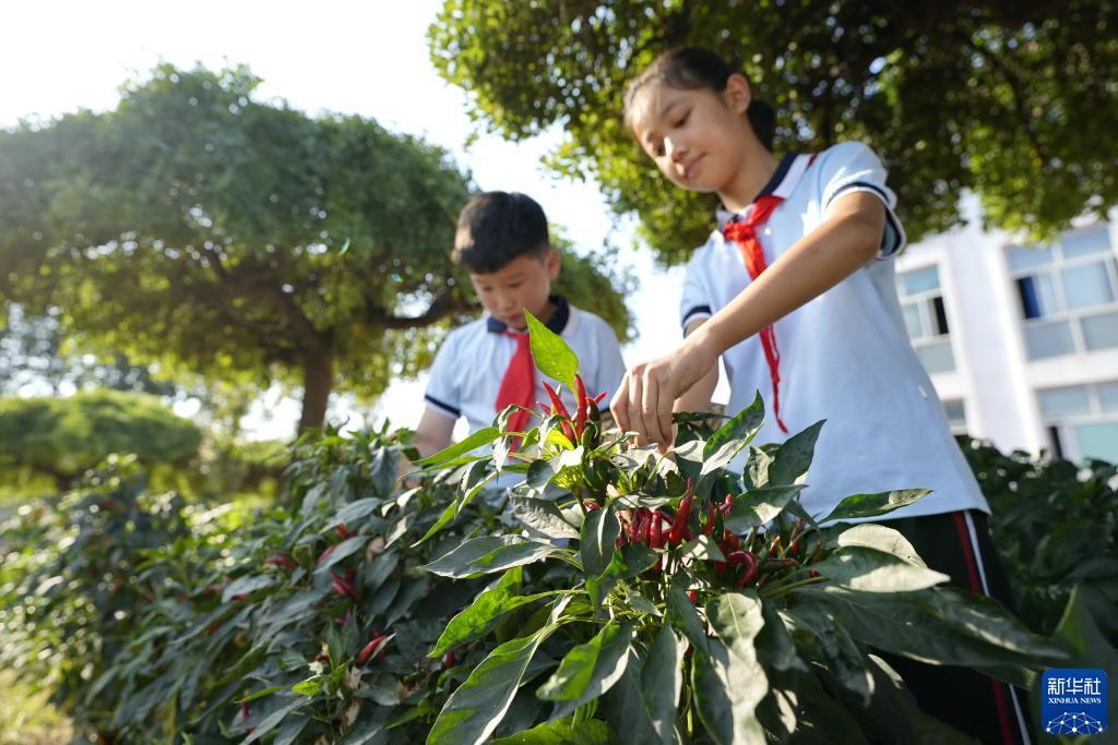大鱼在线P443593